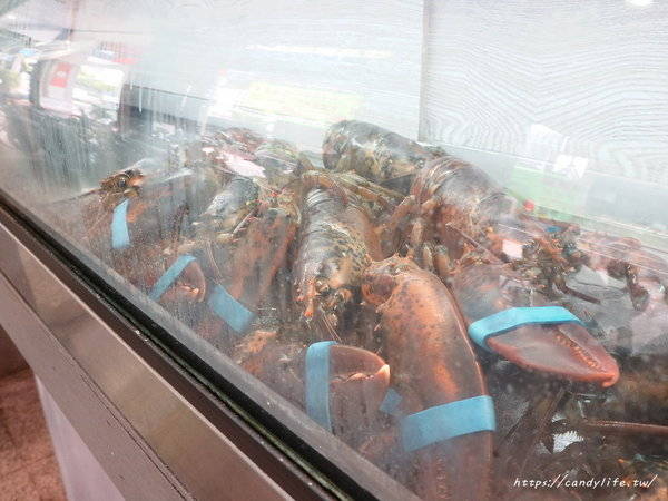 粥堂：台中美食│粥堂（龍蝦粥 螃蟹粥 拉麵）專賣店〃活體海鮮入料～處女蟳麻油麵線霸氣上桌！