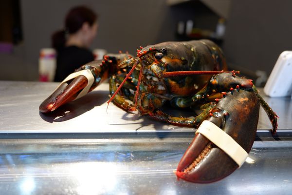 【食記】台中・南屯｜文心路粥堂・每日活體海鮮粥・給你超新鮮現殺現煮的大沙公和紅蟳！還有鮮甜的絲瓜蛤粥
