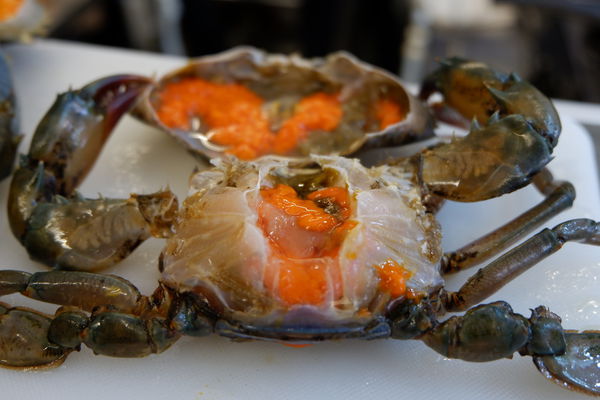 【食記】台中・南屯｜文心路粥堂・每日活體海鮮粥・給你超新鮮現殺現煮的大沙公和紅蟳！還有鮮甜的絲瓜蛤粥