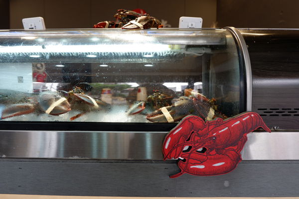 【食記】台中・南屯｜文心路粥堂・每日活體海鮮粥・給你超新鮮現殺現煮的大沙公和紅蟳！還有鮮甜的絲瓜蛤粥