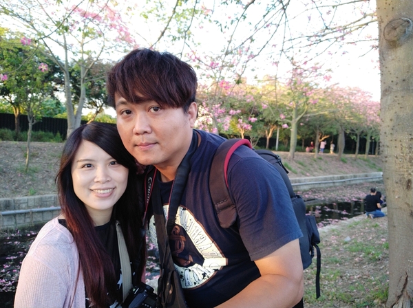 虎尾農博美人樹大道:【雲林虎尾景點】粉紅色的美人樹大道~少女心IG美拍