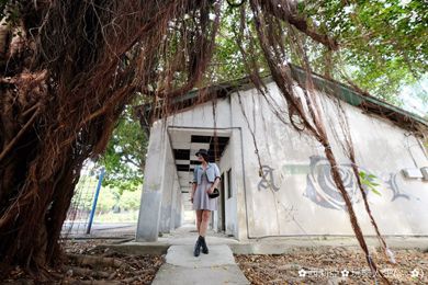 1509892387-1285345794_l.jpg 1509892387-1285345794_l.jpg