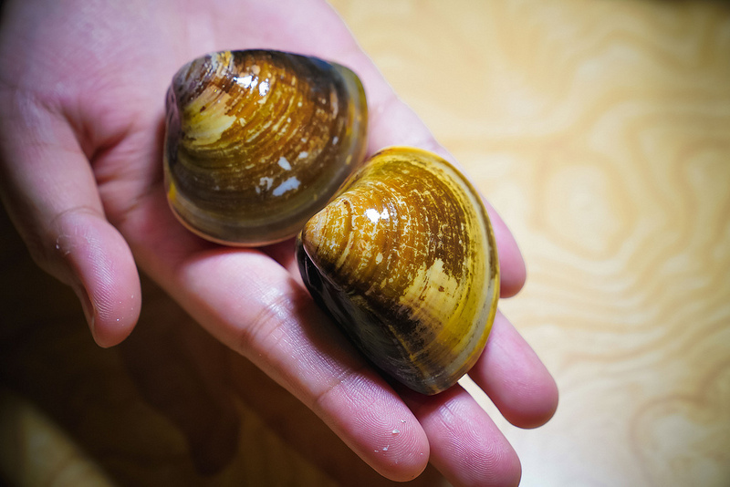 忻殿堂 (40) 忻殿堂 (40)