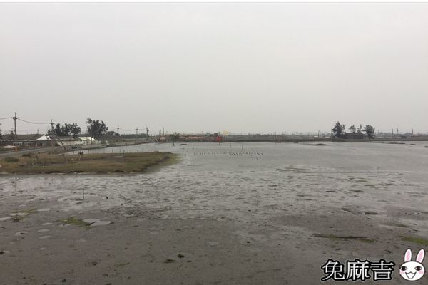 成龍集會所及濕地 (34).jpg