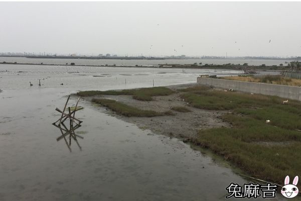 成龍集會所及濕地 (29).jpg