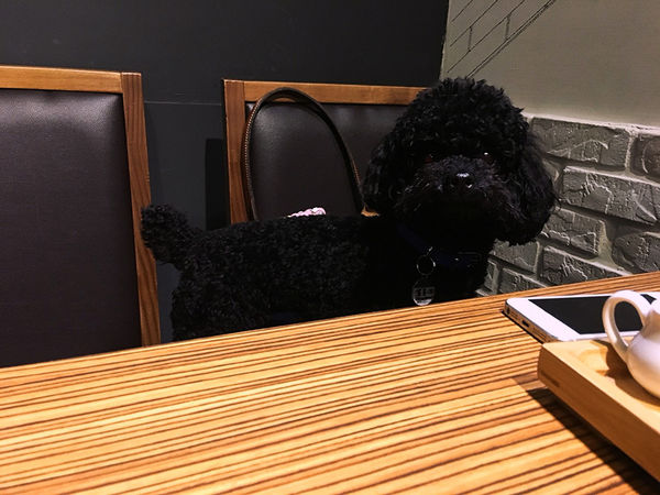 It’s you_171205_0001.jpg