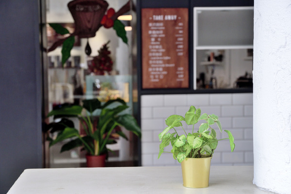 Light Beam Coffee Roasters：台中| LIGHTBEAM COFFEE ROASTERS · 陽光灑落玻璃窗，點杯咖啡曬生活