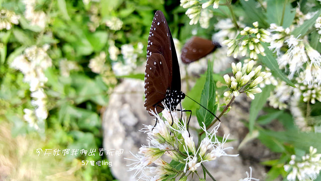 20171119_084750_副本