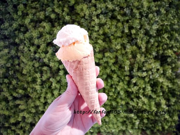 【內湖美食】MIRUKU 十勝牛奶鍋專門店 內湖Inbase店 濃厚系の牛奶鍋物 (23).JPG