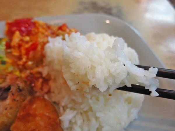 【桃園美食】潔園小吃-香酥內多汁的酥炸雞腿飯