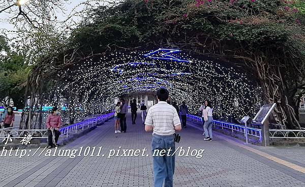 19極地星空.jpg 19極地星空.jpg