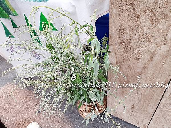 好屏生活 (25).jpg