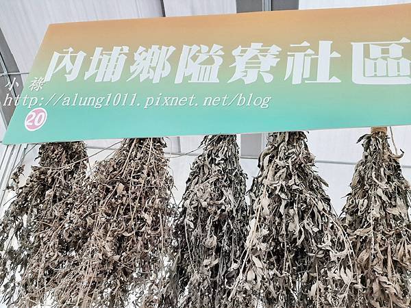 好屏生活 (21).jpg