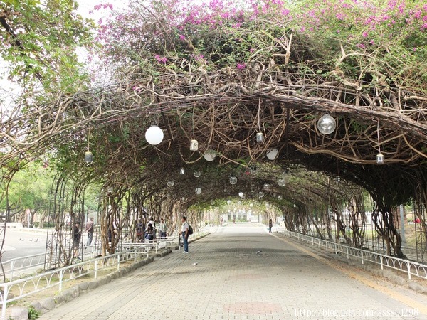 屏東市中山公園：【旅行遊記。屏東市】屏東市區輕鬆玩意！屏東公園散步趣 逛古蹟 賞美術館 必吃臭豆腐和老牌肉圓
