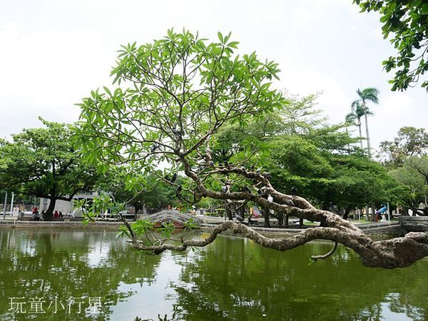 屏東公園23.JPG 屏東公園23.JPG