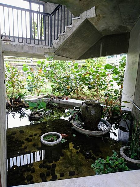 24991438_1715449958486686_7745438074356045565_n