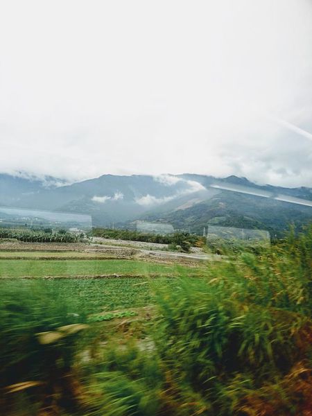 25299123_1715233045175044_4812359242287303802_n