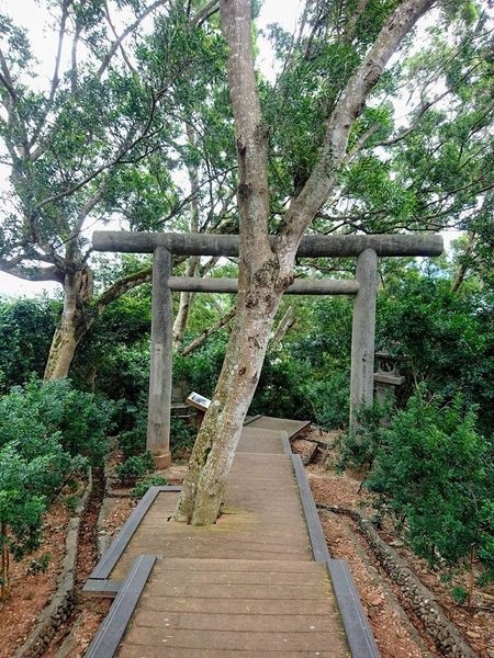 24993090_1716328161732199_2575062926899711667_n