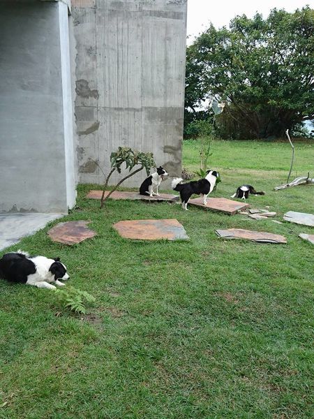 24993354_1715452891819726_654186143841525490_n