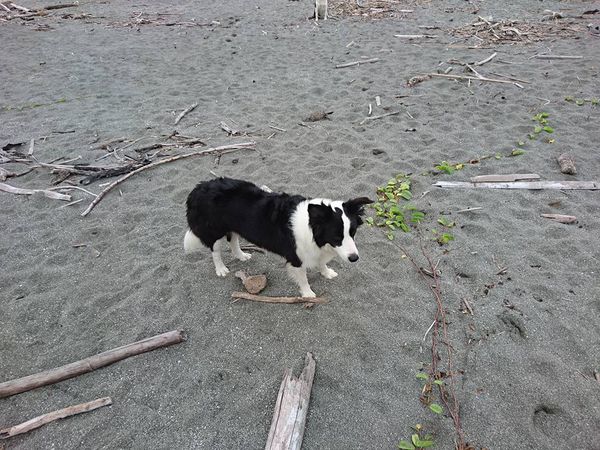 25299117_1715453065153042_932327078335784367_n (1)