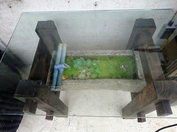 19059063_1715449928486689_5664334844452116626_n