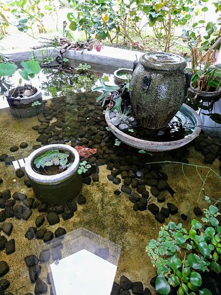 24910026_1715450758486606_3413236285953027444_n