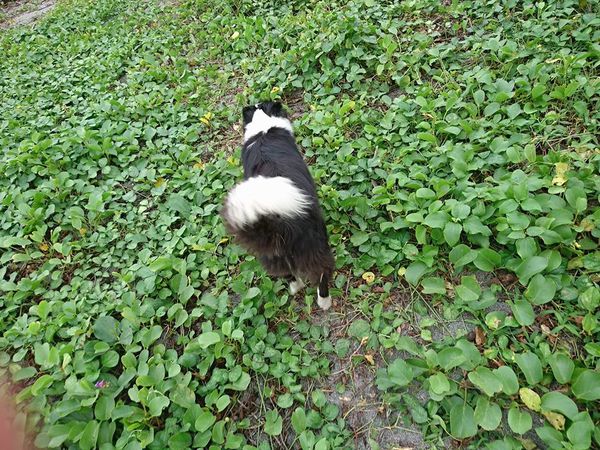 24991534_1715452678486414_5915712294718695340_n