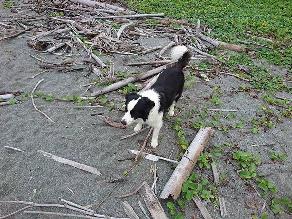 24910005_1715452611819754_2743919295624665479_n (1)