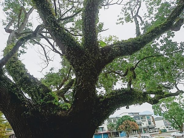 24993270_1715317348499947_4698691079706833896_n