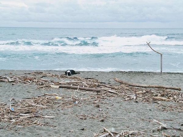 25299382_1715452811819734_5489691582364664245_n