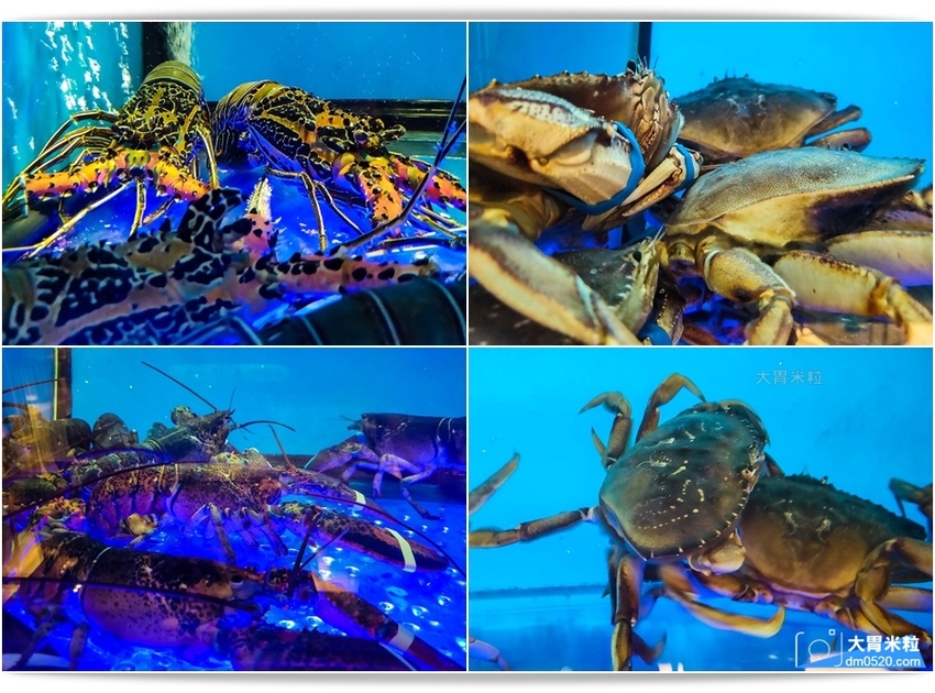 新加坡海鮮餐廳推薦！珍寶海鮮台北信義店,每人990元就能吃到原價1480元的招牌沙公x螃蟹10吃口味任意選,台北信義區海鮮餐廳推薦,台北螃蟹料理推薦,台北新光三越A8美食推薦, - 大胃米粒 DAVI