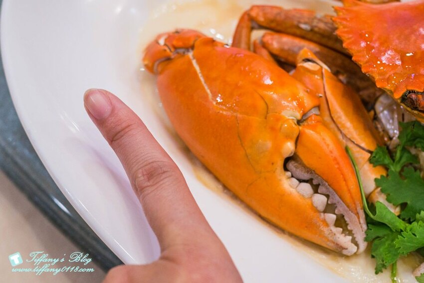 [信義區美食]珍寶海鮮-信義新天地A8/新加坡必吃辣椒螃蟹/1480元沙公+2-3人樂享鮮蟹套餐超划算