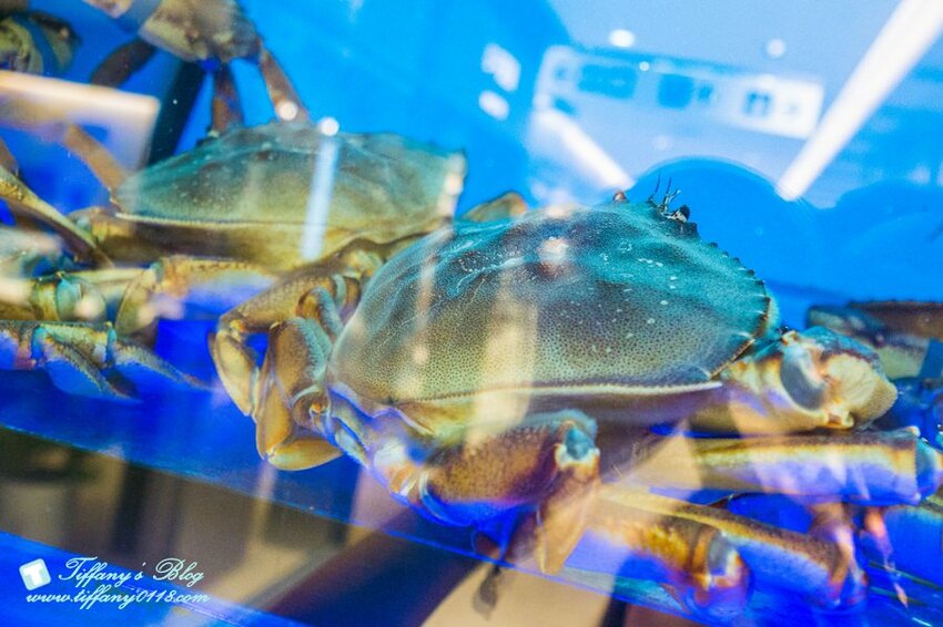 [信義區美食]珍寶海鮮-信義新天地A8/新加坡必吃辣椒螃蟹/1480元沙公+2-3人樂享鮮蟹套餐超划算