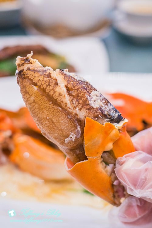 [信義區美食]珍寶海鮮-信義新天地A8/新加坡必吃辣椒螃蟹/1480元沙公+2-3人樂享鮮蟹套餐超划算