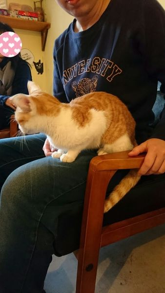 tmp_2017121322575310961