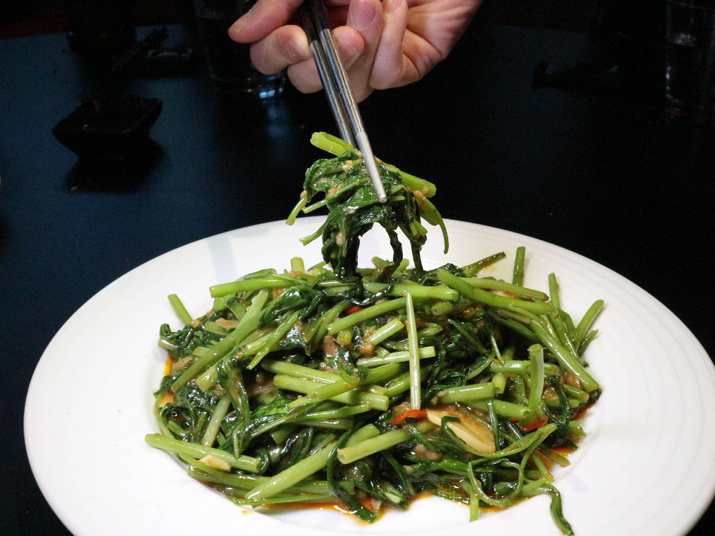 Shark Show House (54)