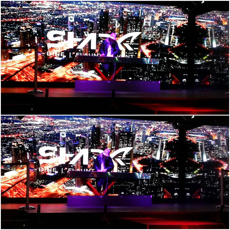 Shark Show House (77)