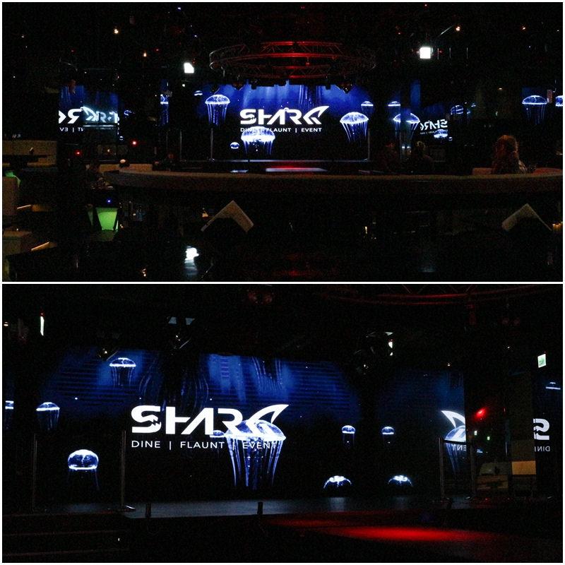 Shark Show House (80)