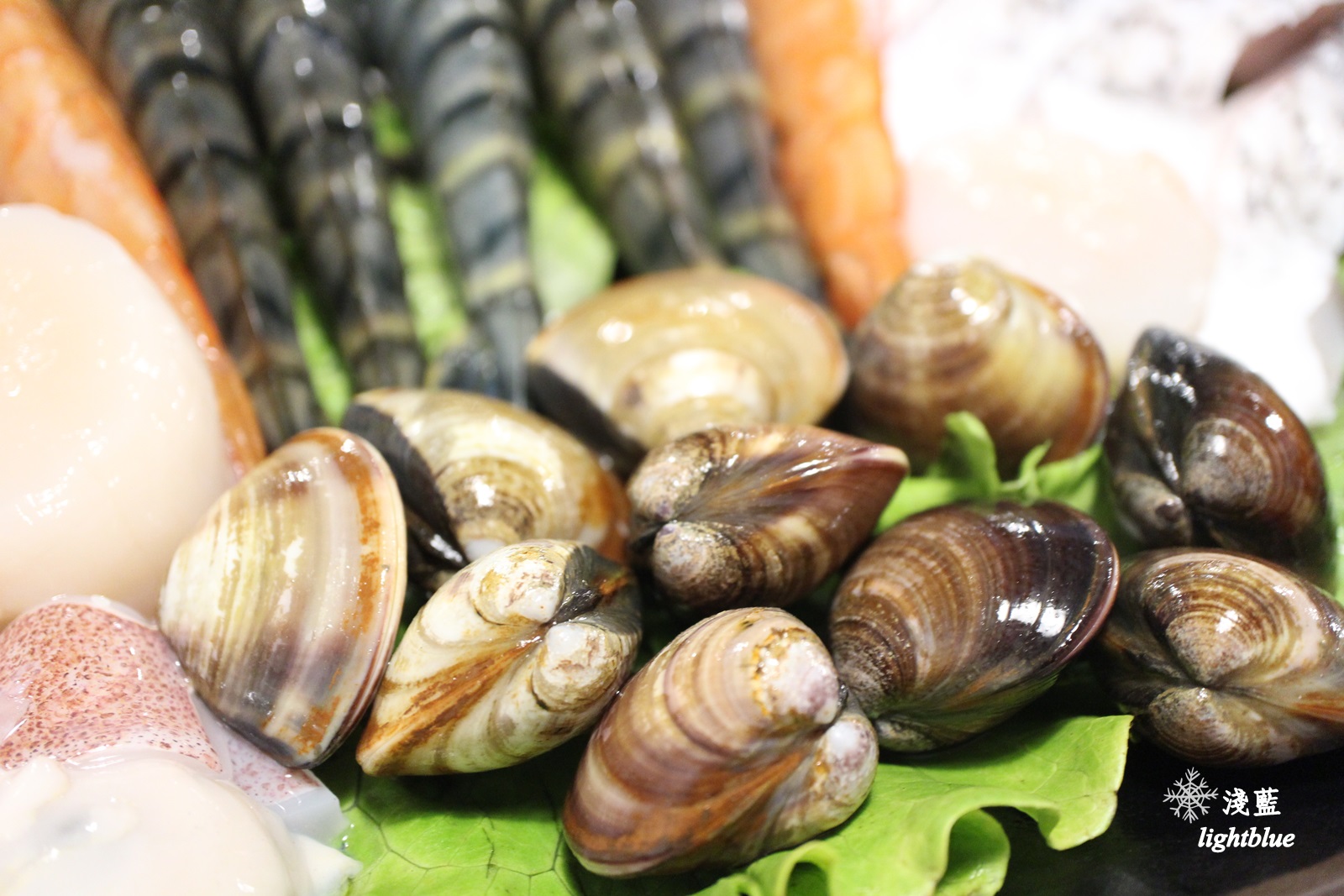 [ 中正紀念堂站美食 ] 淺藍 × 金鍋盃小火鍋四館～盡享海鮮與和牛的霸氣小火鍋