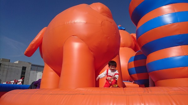 ART-ZOO 藝術動物園：高雄夢時代~ART-ZOO 藝術動物園~口愛動物造型跳跳跳~瘋狂藝起玩氣墊吧！~high翻天~