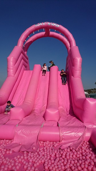 ART-ZOO 藝術動物園：高雄夢時代~ART-ZOO 藝術動物園~口愛動物造型跳跳跳~瘋狂藝起玩氣墊吧！~high翻天~