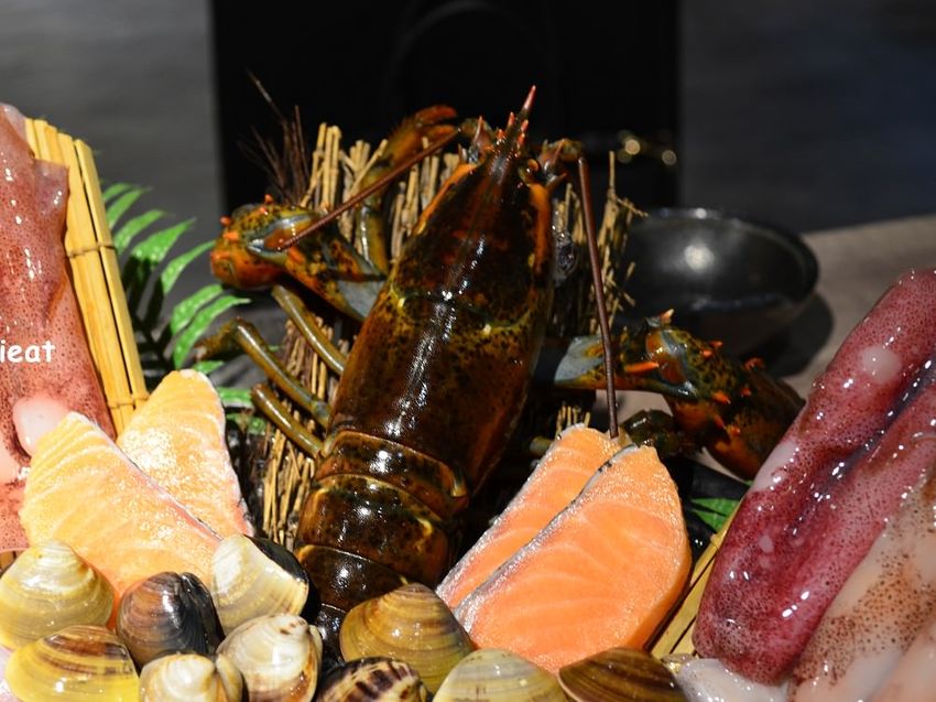 一個人不到八百元就能吃到精緻的龍蝦鴛鴦鍋，你心動了嗎？