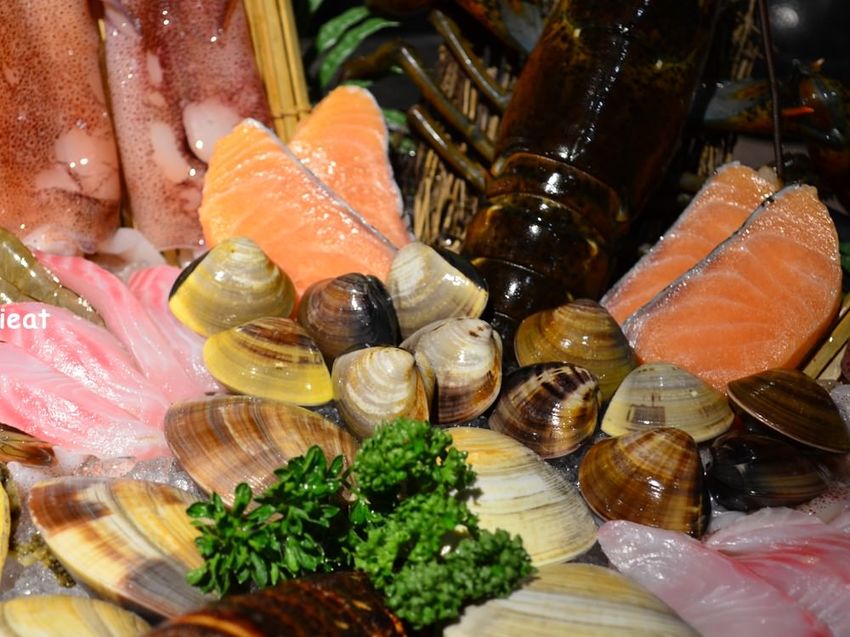 一個人不到八百元就能吃到精緻的龍蝦鴛鴦鍋，你心動了嗎？