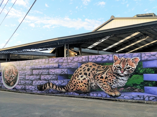 后里舊社天靈宮:【台中后里景點】舊社天靈宮~生動活潑五彩繽紛3D彩繪村,花卉博覽會的主題花現幸福互相呼應