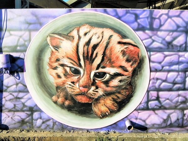 后里舊社天靈宮:【台中后里景點】舊社天靈宮~生動活潑五彩繽紛3D彩繪村,花卉博覽會的主題花現幸福互相呼應