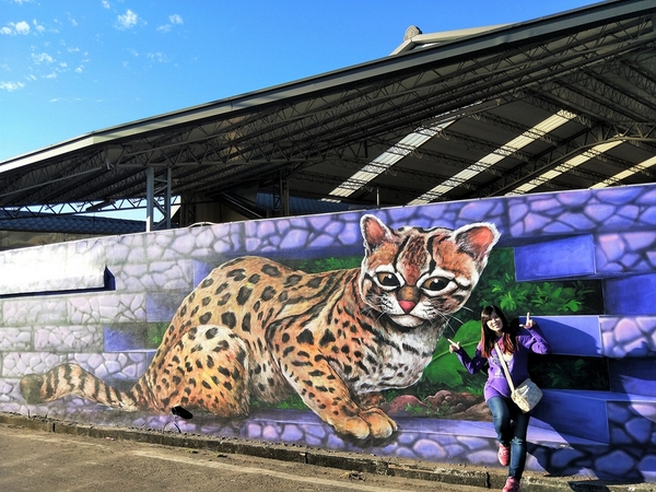 后里舊社天靈宮:【台中后里景點】舊社天靈宮~生動活潑五彩繽紛3D彩繪村,花卉博覽會的主題花現幸福互相呼應