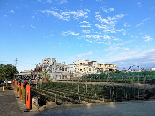 后里舊社天靈宮:【台中后里景點】舊社天靈宮~生動活潑五彩繽紛3D彩繪村,花卉博覽會的主題花現幸福互相呼應