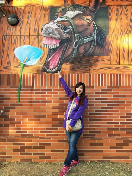 后里舊社天靈宮:【台中后里景點】舊社天靈宮~生動活潑五彩繽紛3D彩繪村,花卉博覽會的主題花現幸福互相呼應