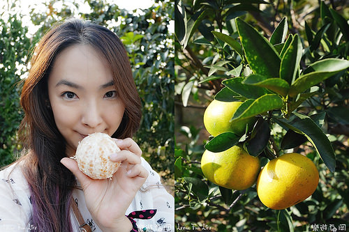 P1230734_meitu_3-horz