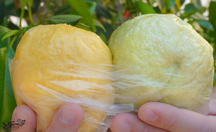 台南生煎包|草包生煎,天然黃配綠生煎包,現包現煎的好美味!!國華友愛新商圈美食 @緹雅瑪 美食旅遊趣